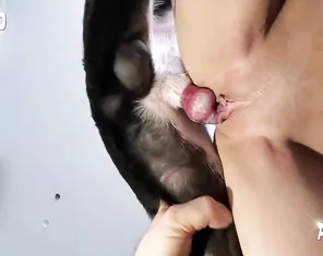 Reven quest, mix zoo porn Russian girl and dogs