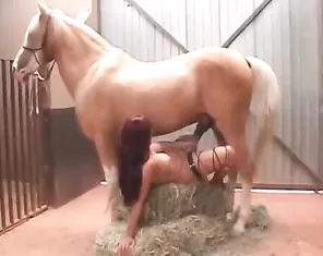 Girl and horse porn zoofilia on a farm