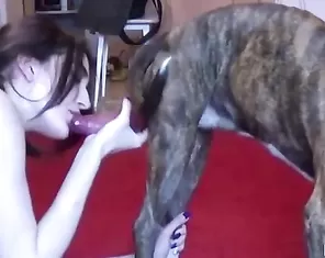 Girl Alla and dog Jack, russian homemade zoo porn from TeamRussia