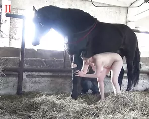 horse sex from russia
