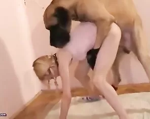 Young blonde fucks with a big dog in zoo porn videos