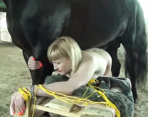Russian blonde dominated by a big-dicked black stallion. Zoo TeamRussia
